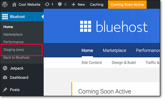 bluehost 分期