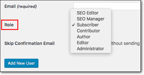 wordpress rolleri