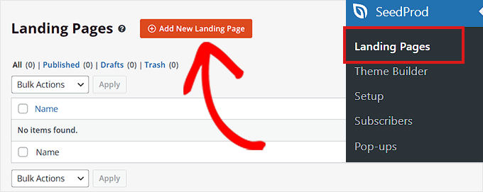 点击添加新登陆页面按钮 Click the Add New Landing Page button