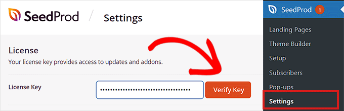 在字段中粘贴许可证密钥 Paste license key in the field
