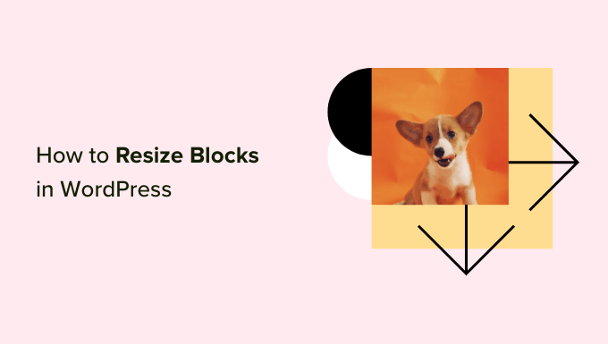 如何在 WordPress 中更改块的高度和宽度 How to change block height and width in WordPress