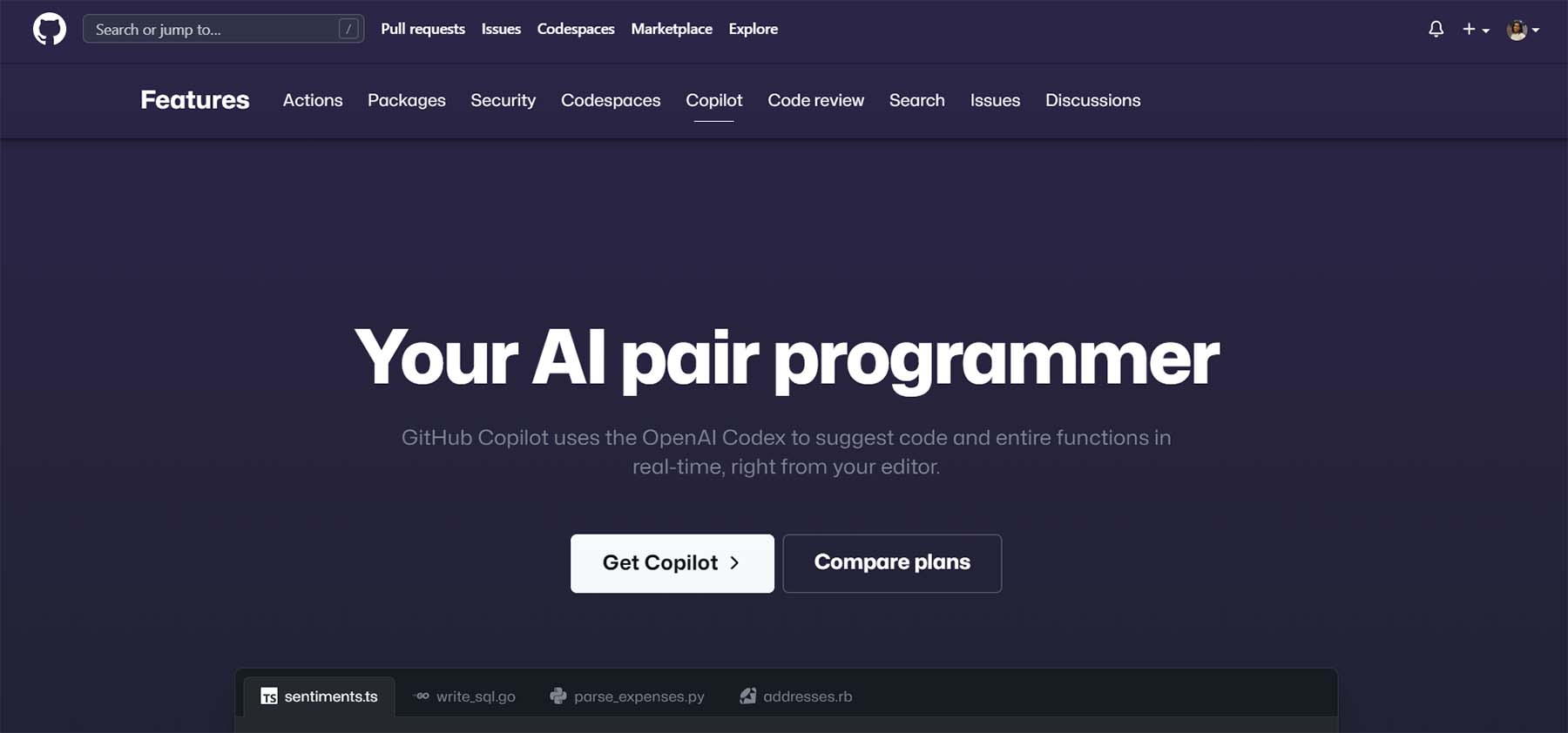 Alternativa ChatGPT per la codifica, CoPilot