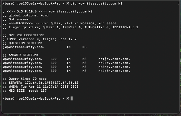 ドメインの NS レコードを要求する Dig コマンド