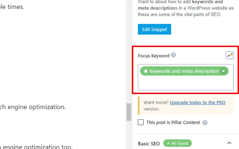 Cómo agregar palabras clave y meta descripciones en el sitio web de WordPress 10 Focus keyword 2
