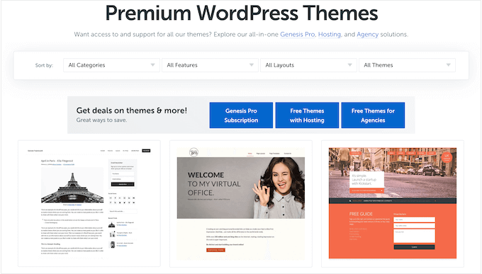 Пример маркетплейса премиальных тем WordPress An example of a premium WordPress theme marketplace