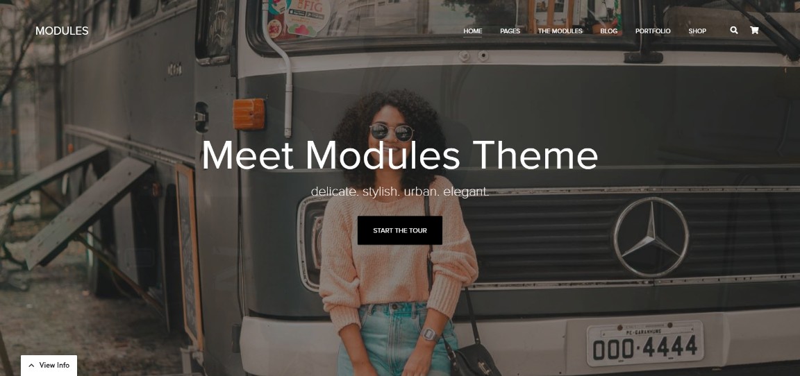 MÓDULOS tema wordpress