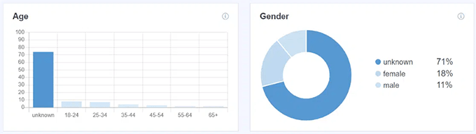 Gráficos demográficos de idade e sexo Age and gender demographic charts