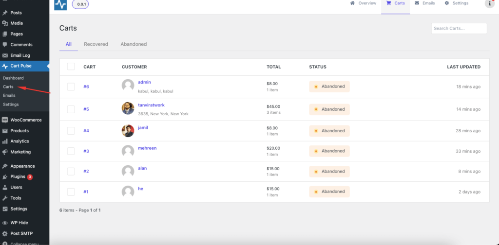 Müşterileri Geri Kazanmak için Arıza Korumalı Terk Edilmiş Sepet E-posta Stratejisi 14 A screenshot of carts
