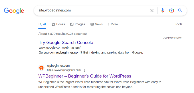 Operatore di ricerca del sito su Google Site search operator on Google