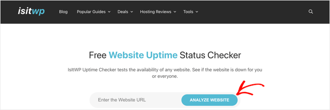 Strumento di verifica del tempo di attività IsItWP IsItWP Uptime Checker Tool