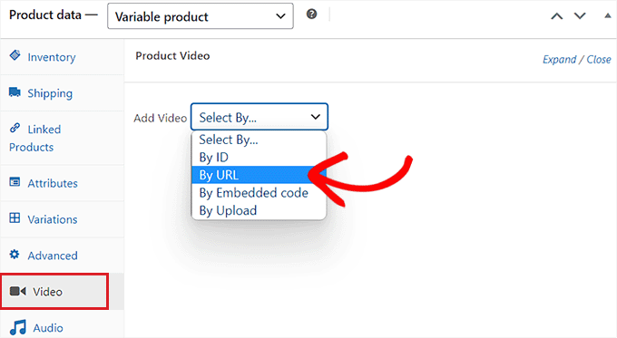 Beralih ke tab Video dan pilih opsi By URL dari menu dropdown Switch to the Video tab and choose By URL option from the dropdown menu