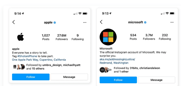 Sagesse de la foule Preuve sociale - Apple et Microsoft