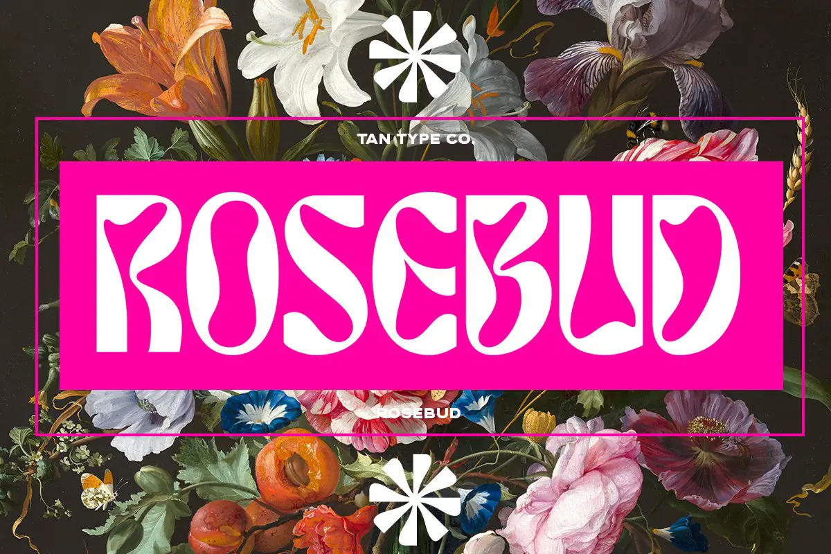 TAN - ROSENKNOPF -
