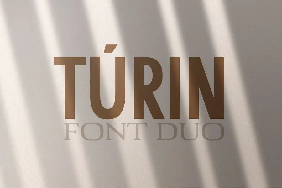 トリノ -