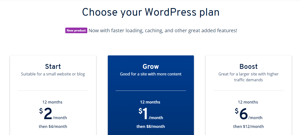 IONOS 审查 WordPress 定价计划。