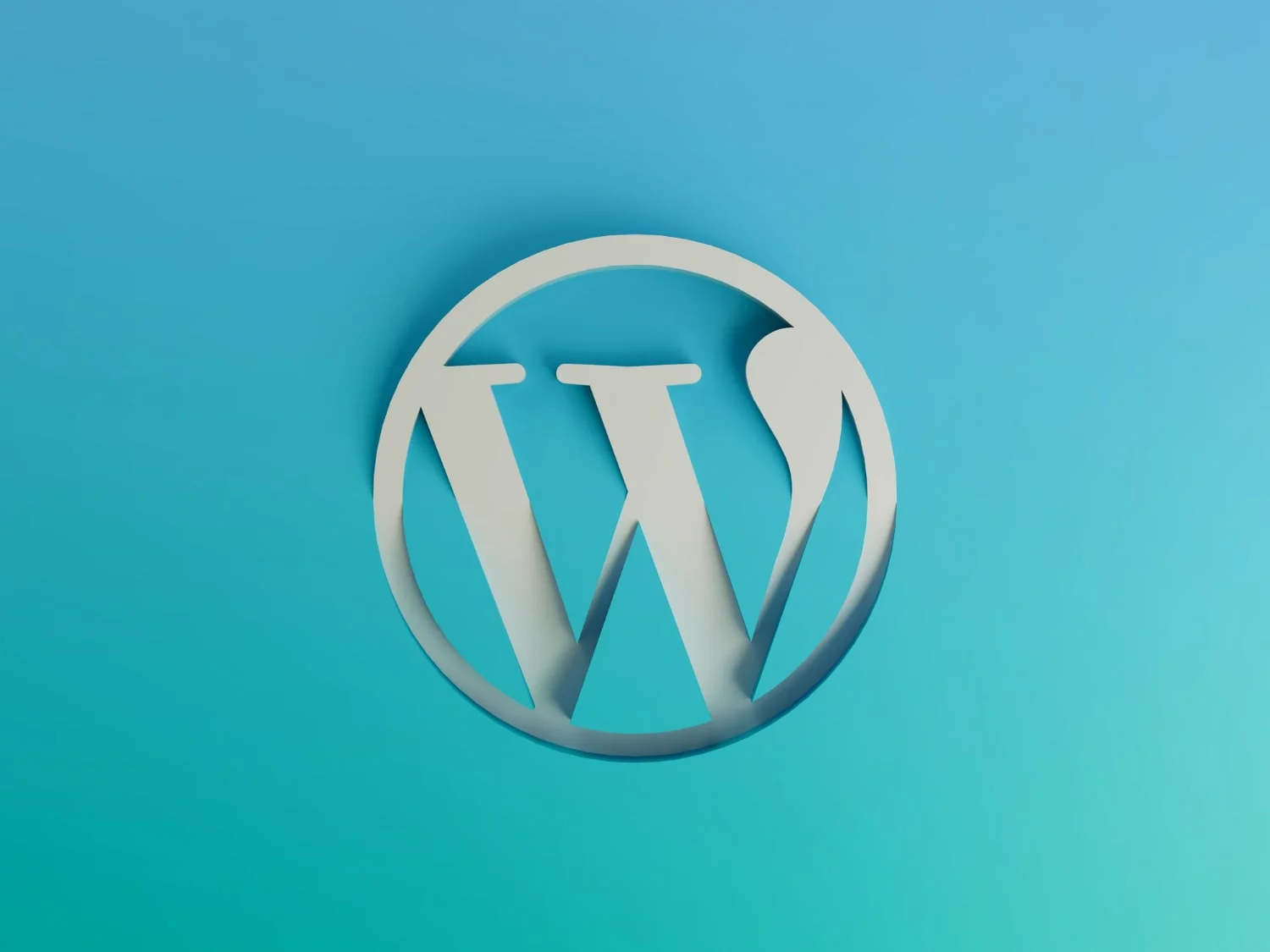 20 anos do WordPress