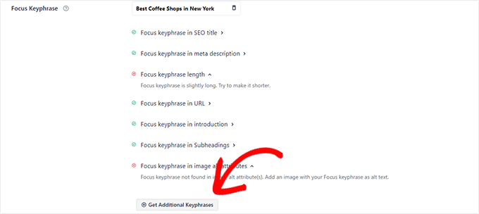 Focalizează expresia cheie Focus keyphrase
