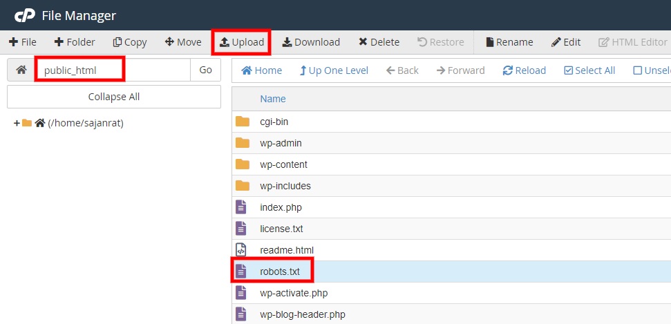 cpanel'e yükleyin robots.txt'yi wordpress'te düzenleyin