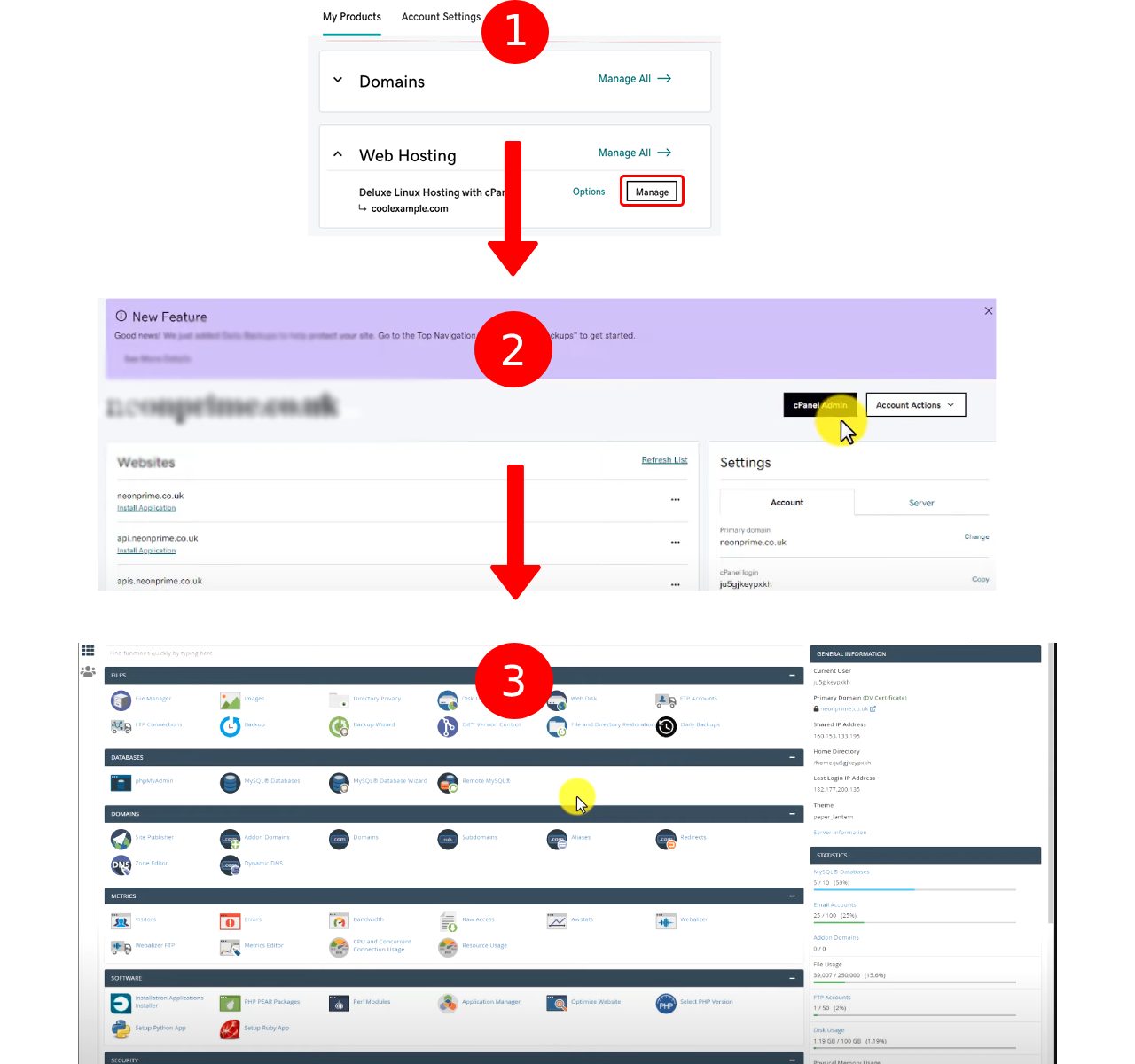 Schritt zwei: WordPress installieren