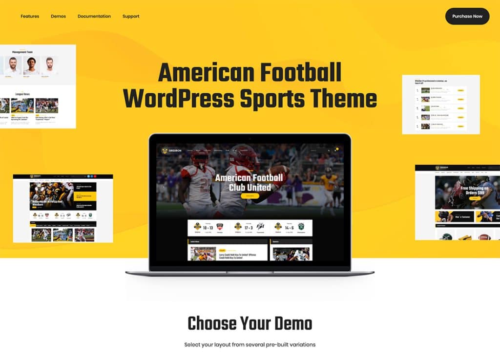 烤架 | American Football & NFL Superbowl Team WordPress 主題