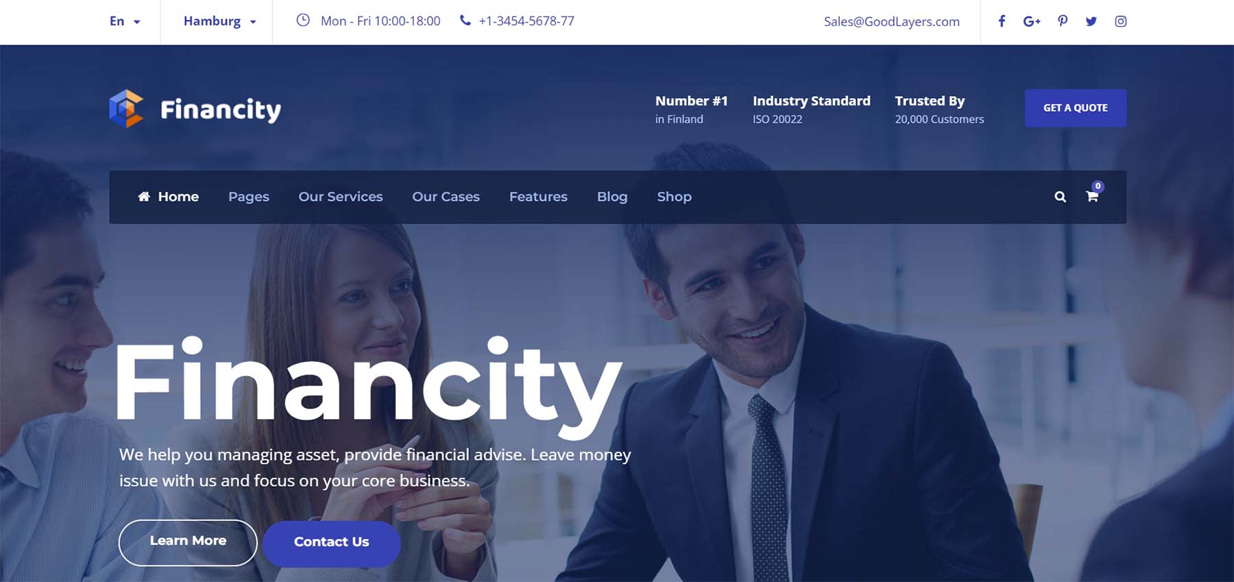 Financity, ein finanzbezogenes WordPress-Theme