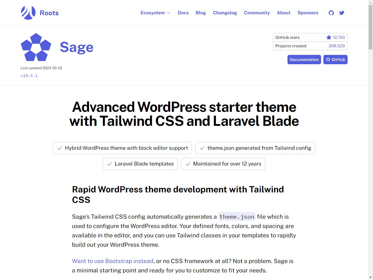 موضوع Sage WordPress
