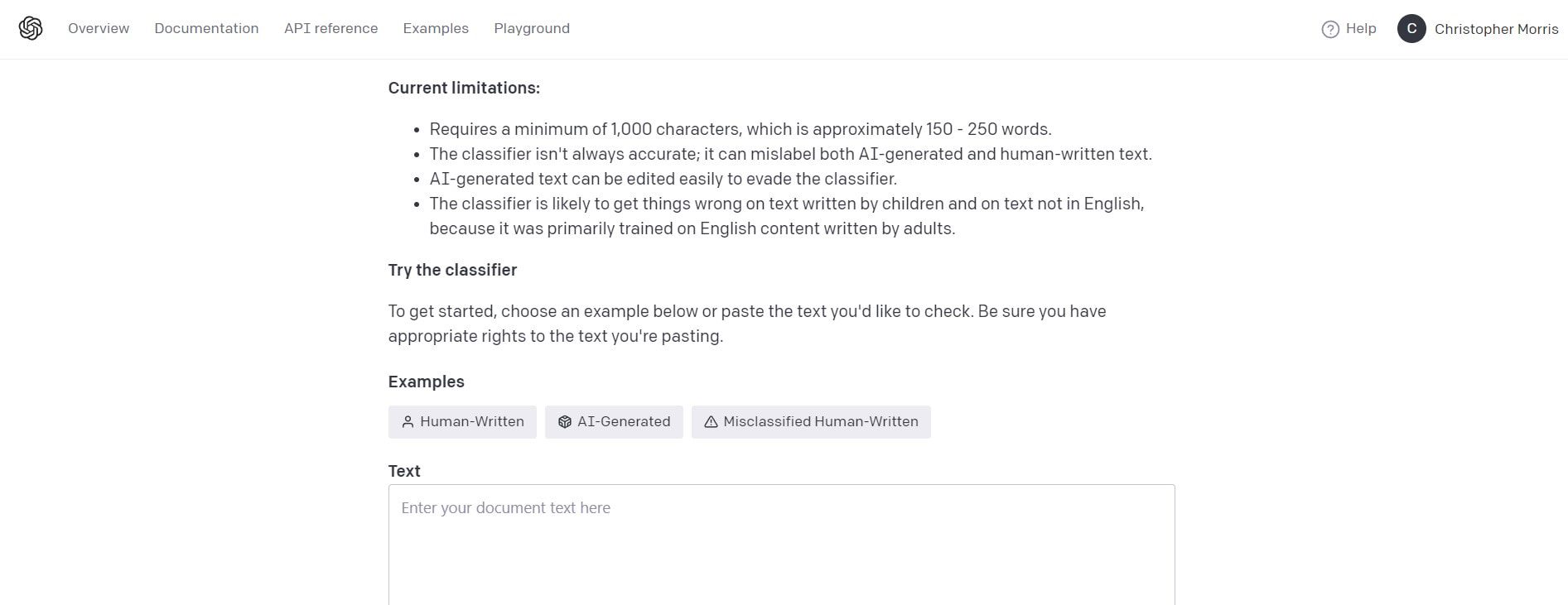 OpenAI Text Classifier – Landingpage Mai 2023