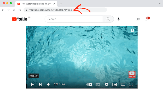 YouTubeビデオのURLを取得する Getting the URL for a YouTube video