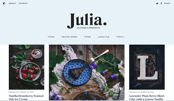 Más de 9 mejores temas premium de bloques de WordPress en 2023 para la edición completa del sitio 9 julia 251