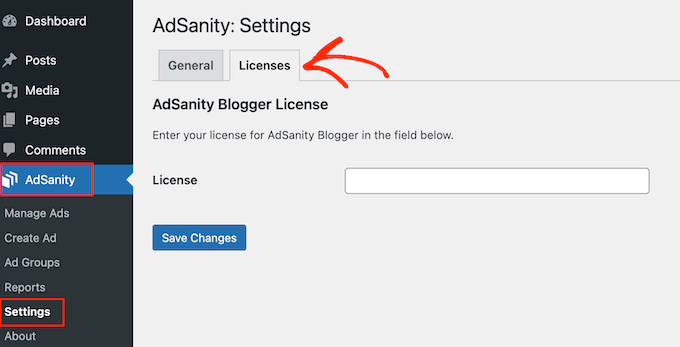 การตั้งค่าปลั๊กอิน AdSanity WordPress The AdSanity WordPress plugin settings