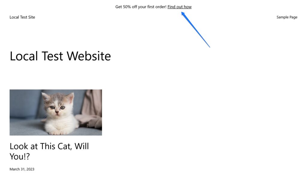 nuovo widget visibile sul front-end del sito web