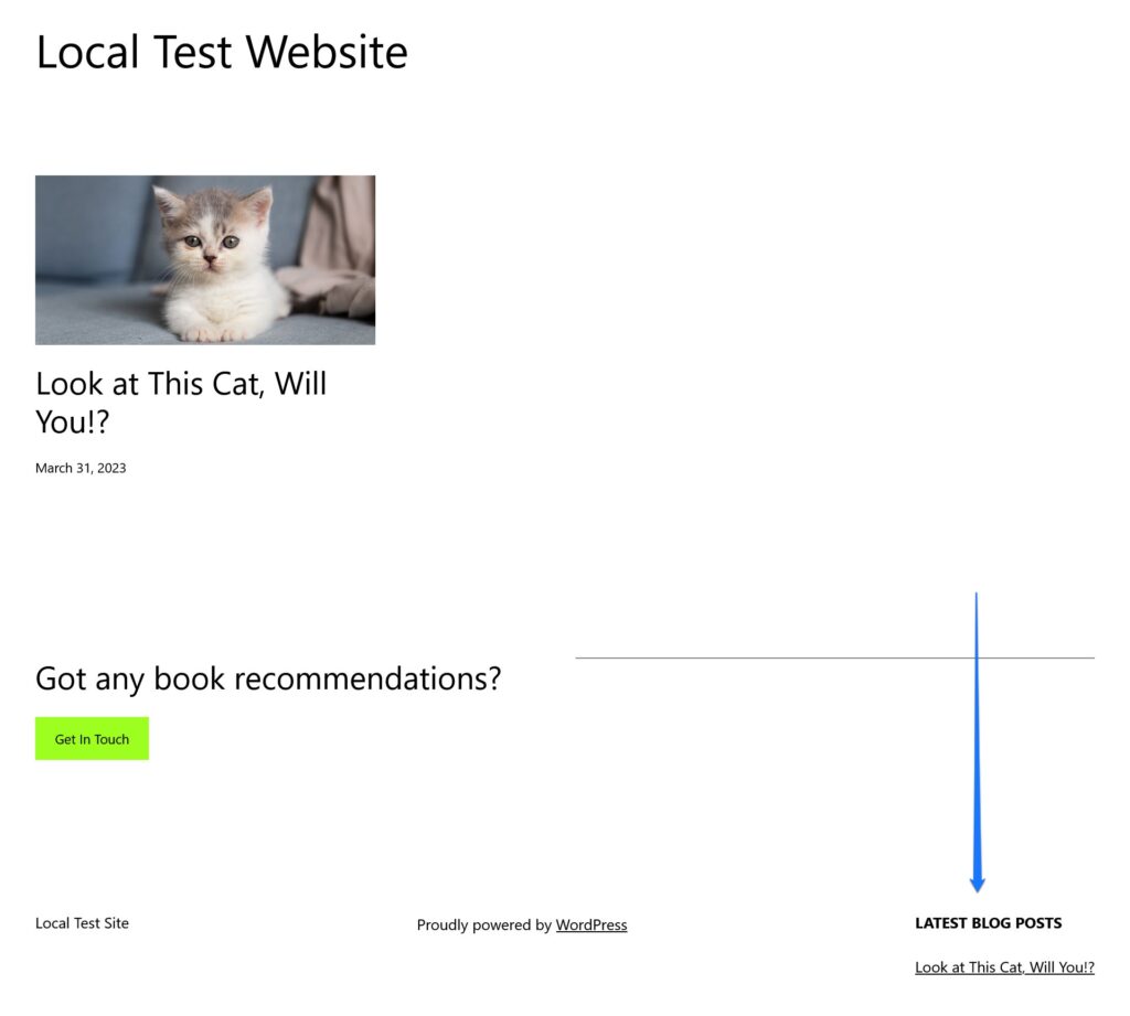 nuovo widget nel piè di pagina sul front-end del sito web