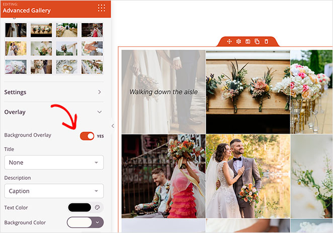 photogalleryhoveroverlay SeedProd Photo gallery hover background overlay