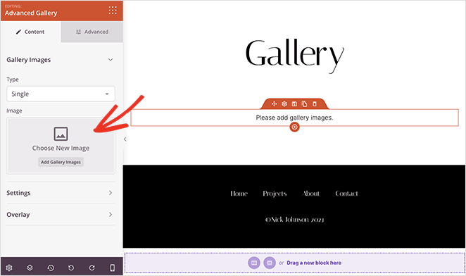 personalizzaadvancedphotogallery SeedProd Customize the Advanced Gallery block