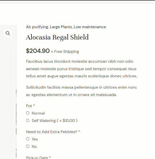 option de logique conditionnelle terminée - logique conditionnelle des addons de produits woocommerce