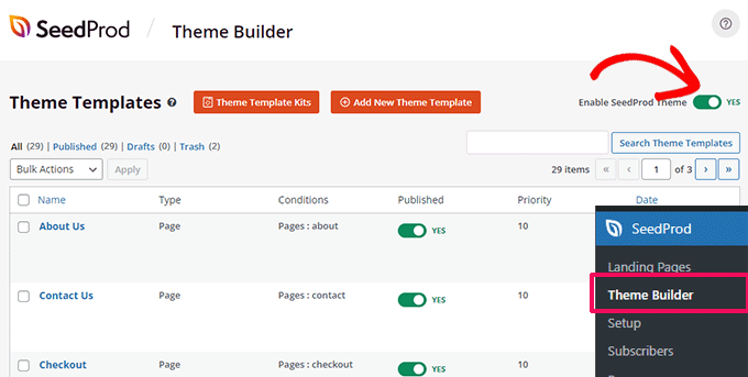 Habilitar tema SeedProd Enable SeedProd theme