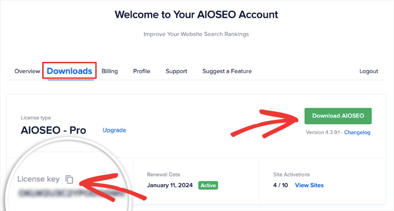 AIOSEO プロ プラグインをダウンロード - IsItWP - 無料の WordPress テーマ検出器 Download AIOSEO pro plugin