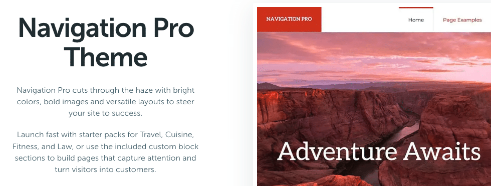 Screenshot des Navigation Pro-Themas