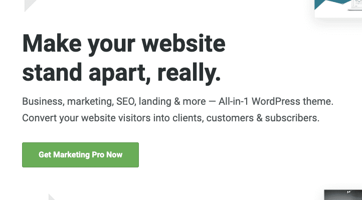 Screenshot von der Marketing Pro-Themen-Website