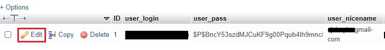 wordpress web sitesini hacklemek - phpmyadmin adım 2