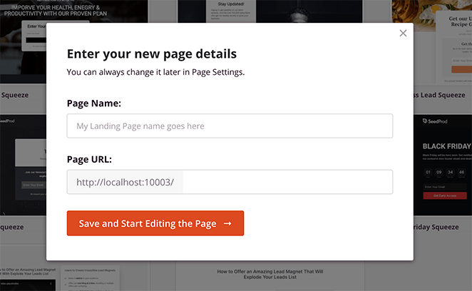 addlandingpagename SeedProd Enter a landing page name