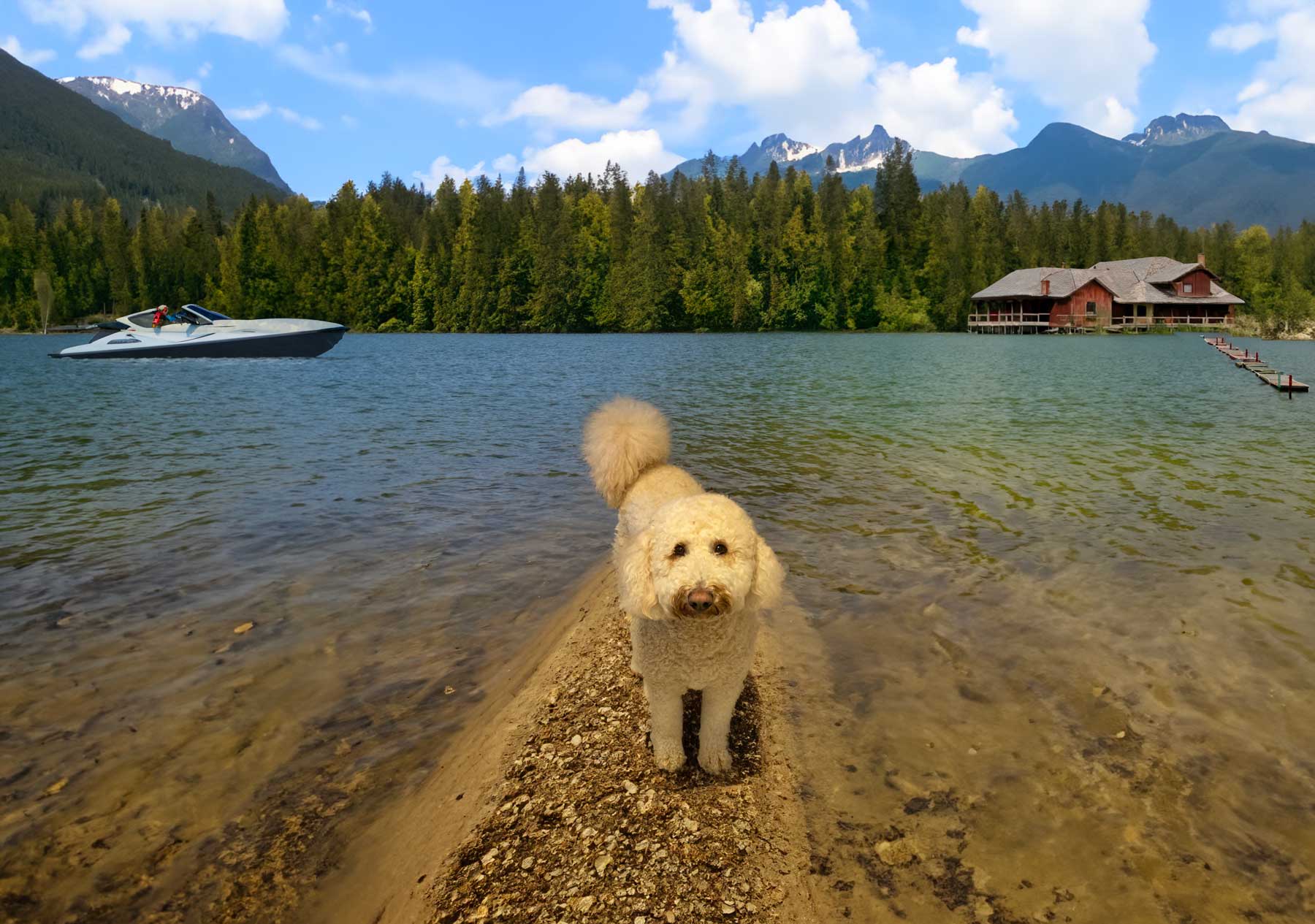 หลังจากเติม Photoshop AI generative