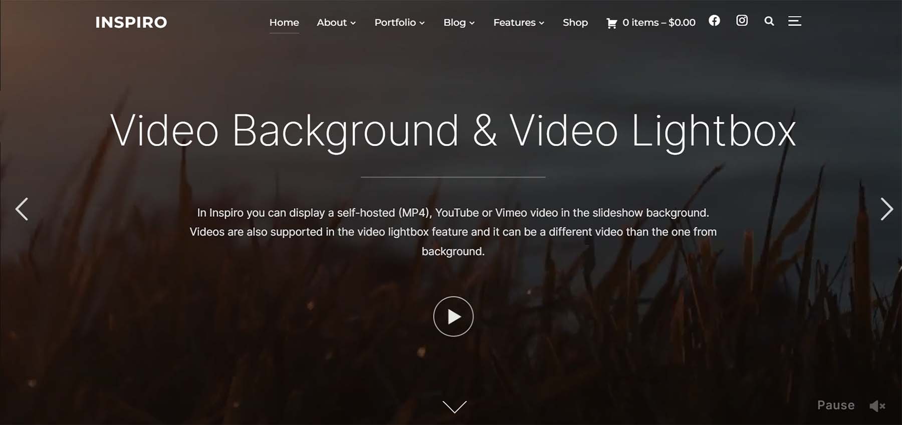 Inspiro Premium, un tema minimo incentrato su video e foto