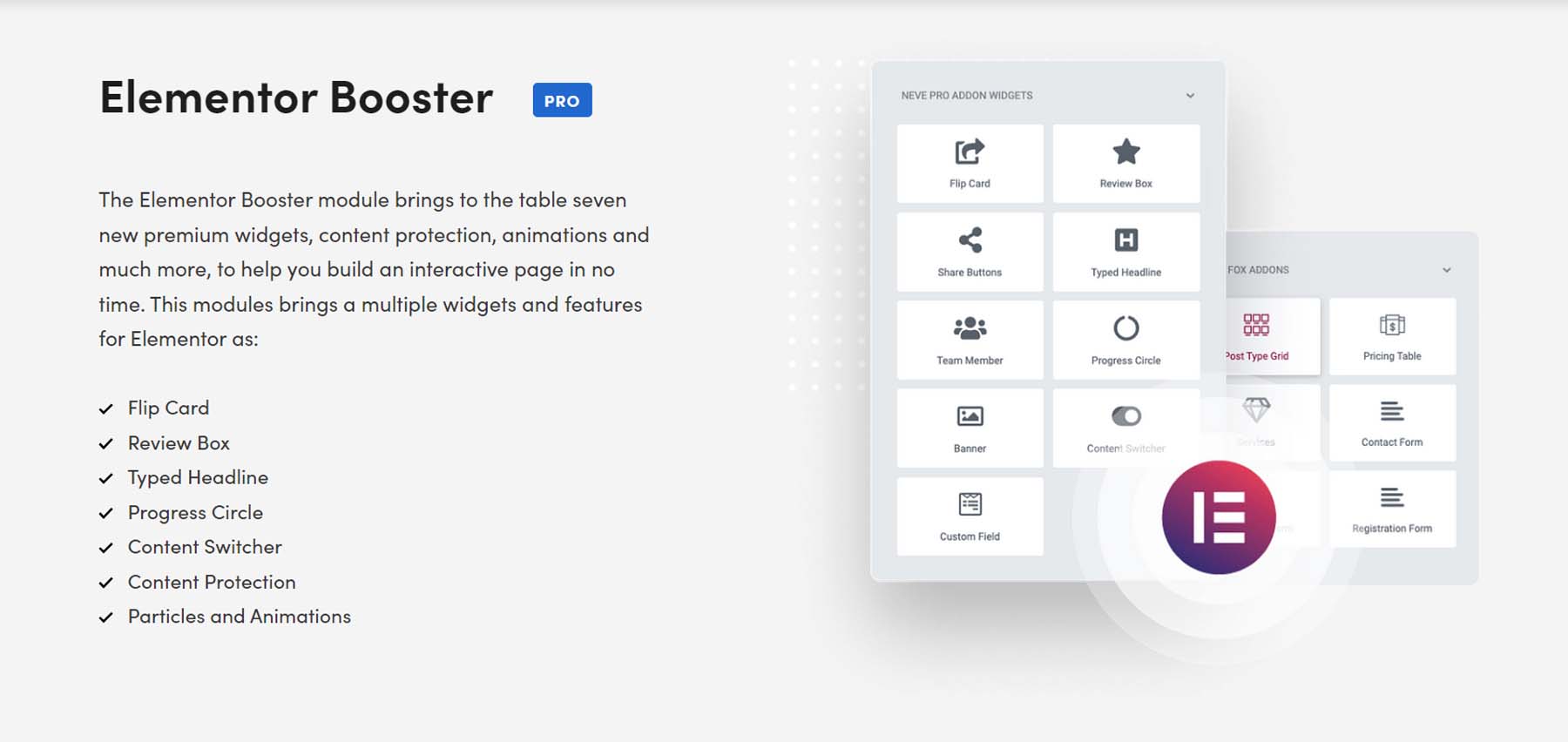 Elementor Booster di Neve