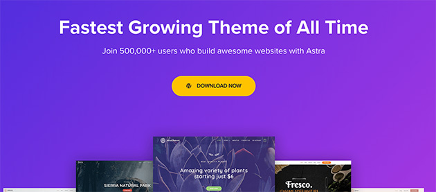 أستوراوردبريسستيمس SeedProd Astra pre built WordPress theme