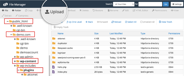 cargar el complemento en el administrador de archivos cpanel - IsItWP - Detector de temas gratuito de WordPress upload plugin in cpanel file manager