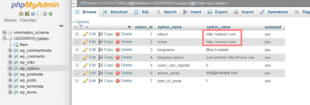 Bir WordPress Web Sitesi Nasıl Canlı Yapılır? (Adım Adım Kılavuz) 10 Updating New URL