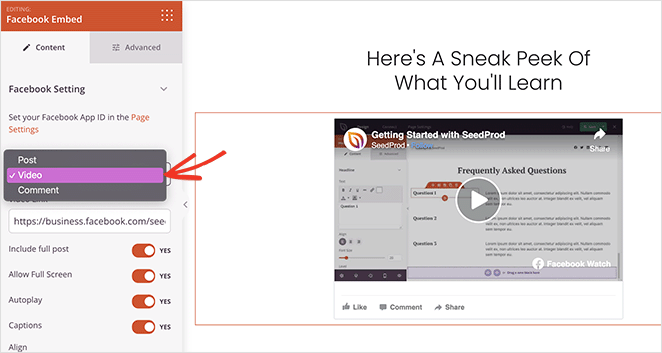 embedfacebookvideowordpress SeedProd Facebook embed video type