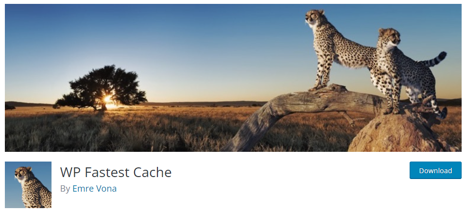 wp cache più veloce