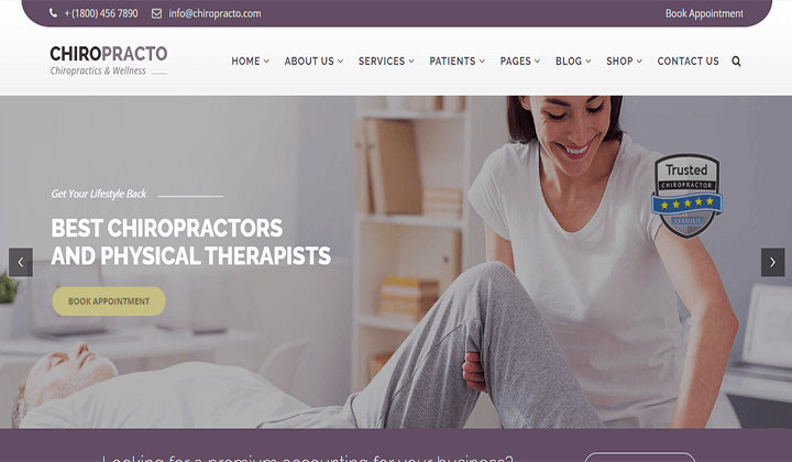 9+ migliori temi WordPress per siti web di fisioterapia 2023 11 chiropracto 231